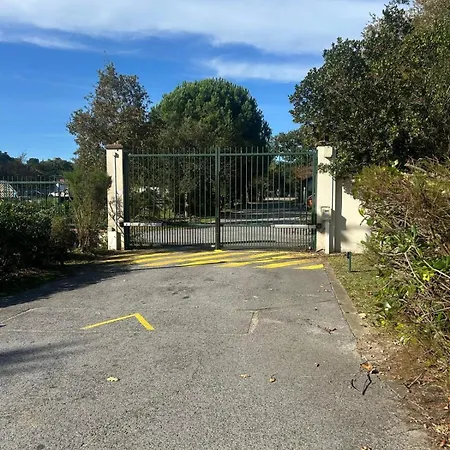 L'airial De Laure *